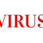 History of SARS Virus