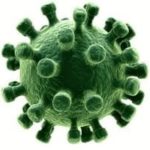 Water-borne diseases