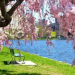 Dont Forget The Drains During Spring Cleaning 1 - Valley Plumbing